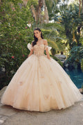 Embellished Lace Applique Tulle Ball Gown Quinceañera Princess JTJT1448J