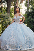 Embellished Lace Applique Tulle Ball Gown Quinceañera Princess JTJT1458J