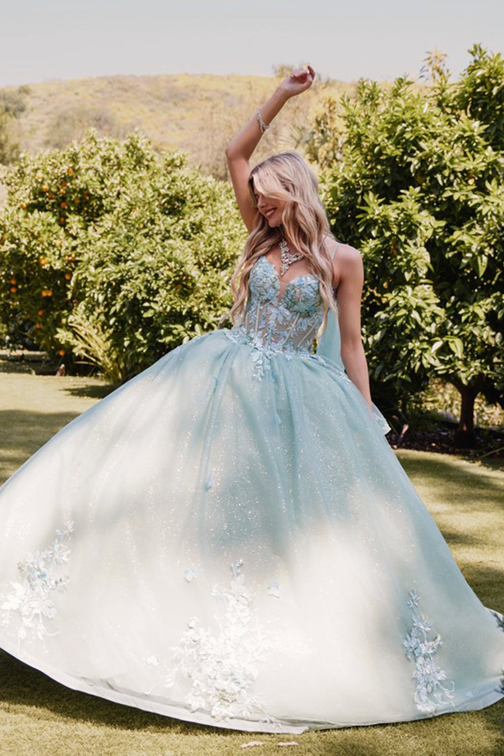 Embellished Lace Applique Tulle Ball Gown Quinceañera Princess JTJT1466H