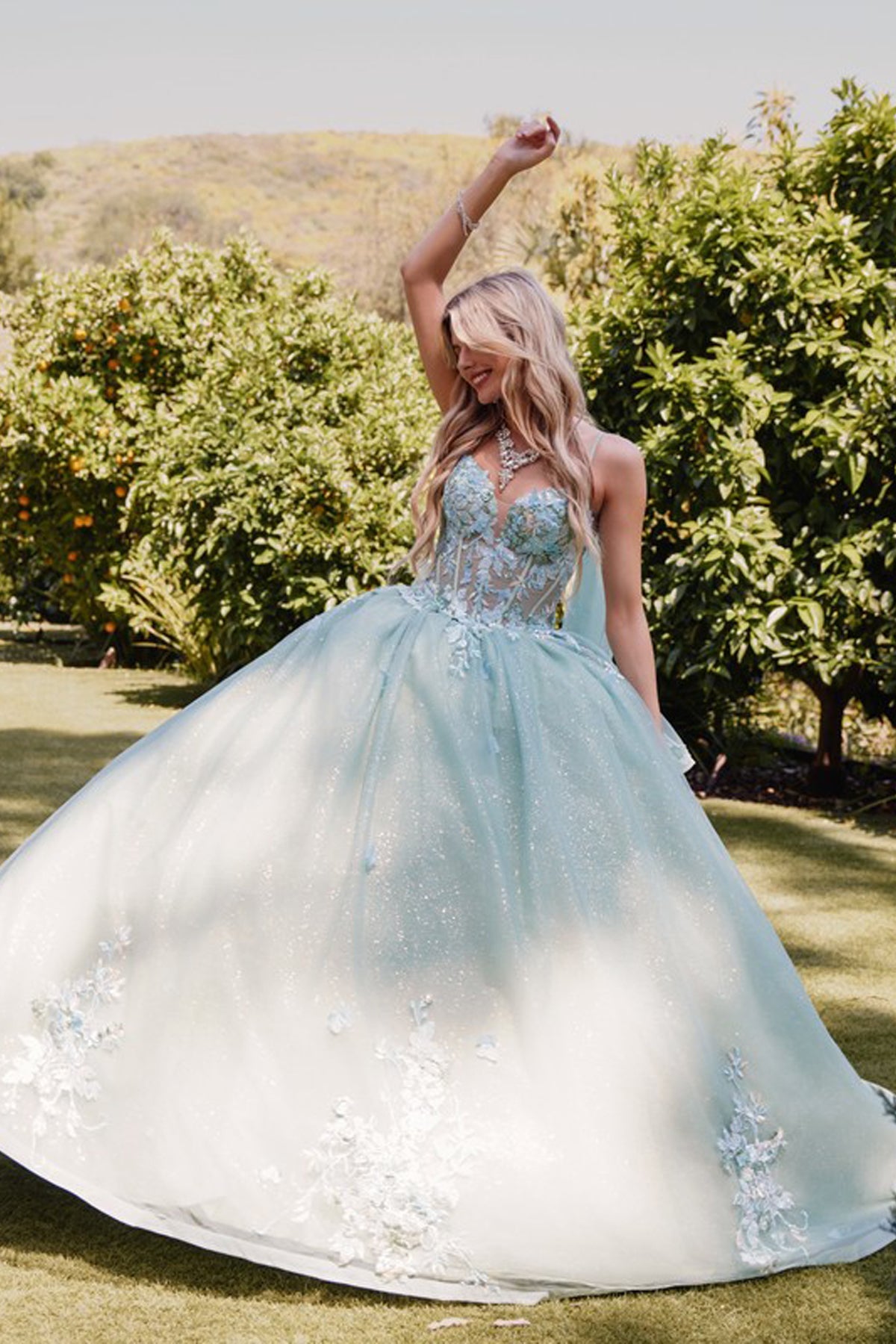 Embellished Lace Applique Tulle Ball Gown Quinceañera Princess JTJT1466H