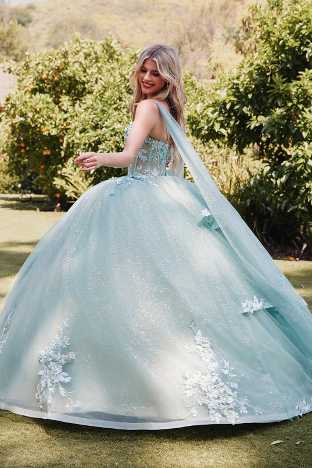 Embellished Lace Applique Tulle Ball Gown Quinceañera Princess JTJT1466H