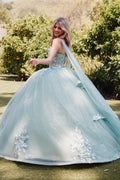 Embellished Lace Applique Tulle Ball Gown Quinceañera Princess JTJT1466H