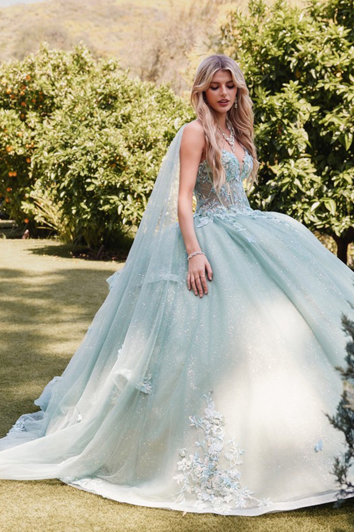 Embellished Lace Applique Tulle Ball Gown Quinceañera Princess JTJT1466H