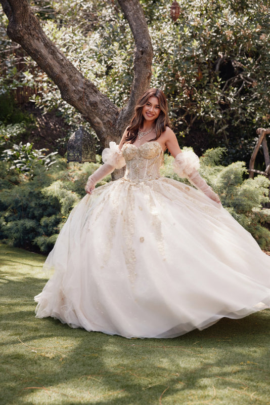 Embellished Lace Applique Tulle Ball Gown Quinceañera Princess JTJT1465H