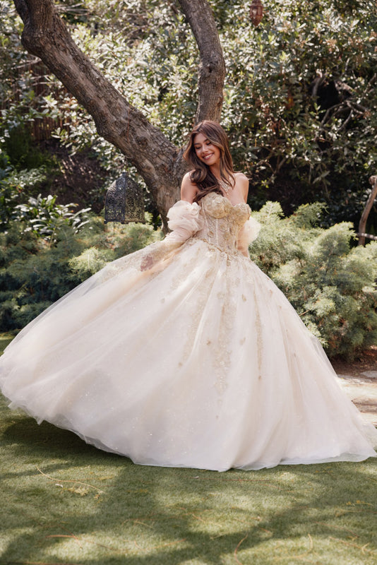 Embellished Lace Applique Tulle Ball Gown Quinceañera Princess JTJT1465H