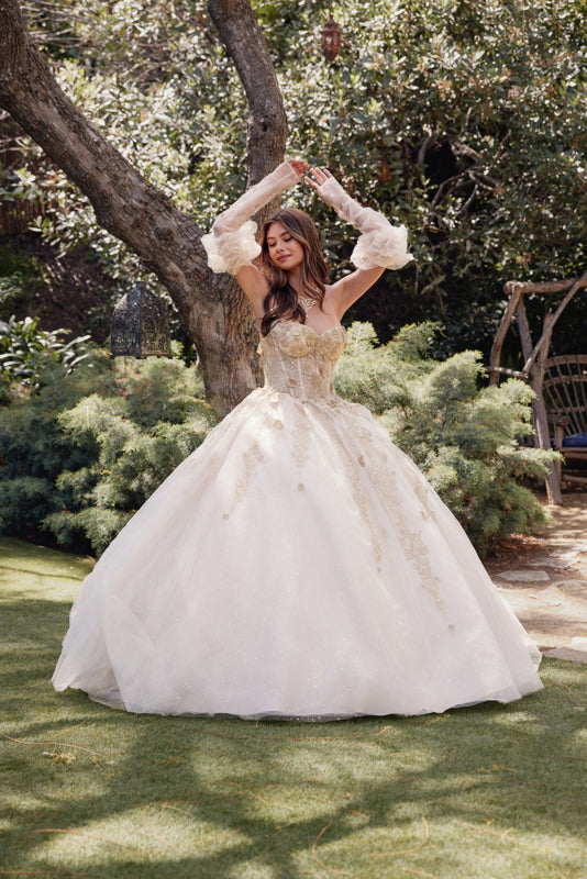 Embellished Lace Applique Tulle Ball Gown Quinceañera Princess JTJT1465H