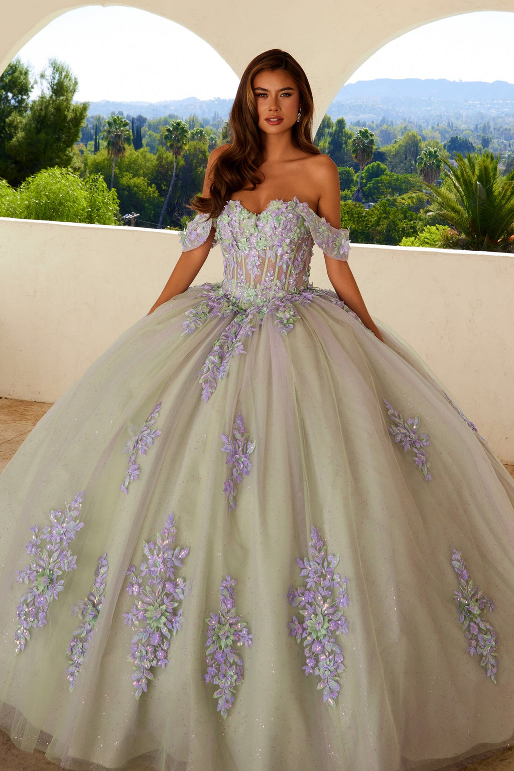 Embellished Lace Applique Tulle Ball Gown Quinceañera Princess JTJT1479J