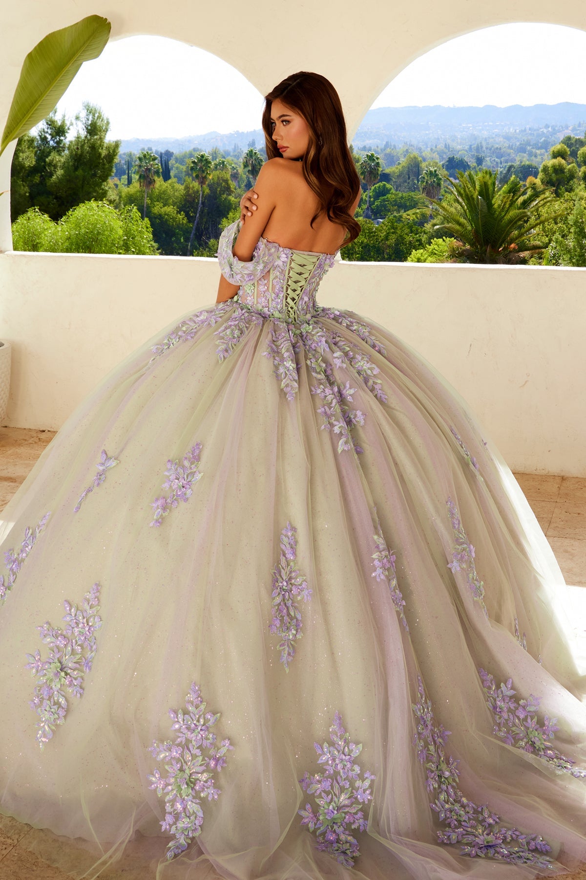 Embellished Lace Applique Tulle Ball Gown Quinceañera Princess JTJT1479J
