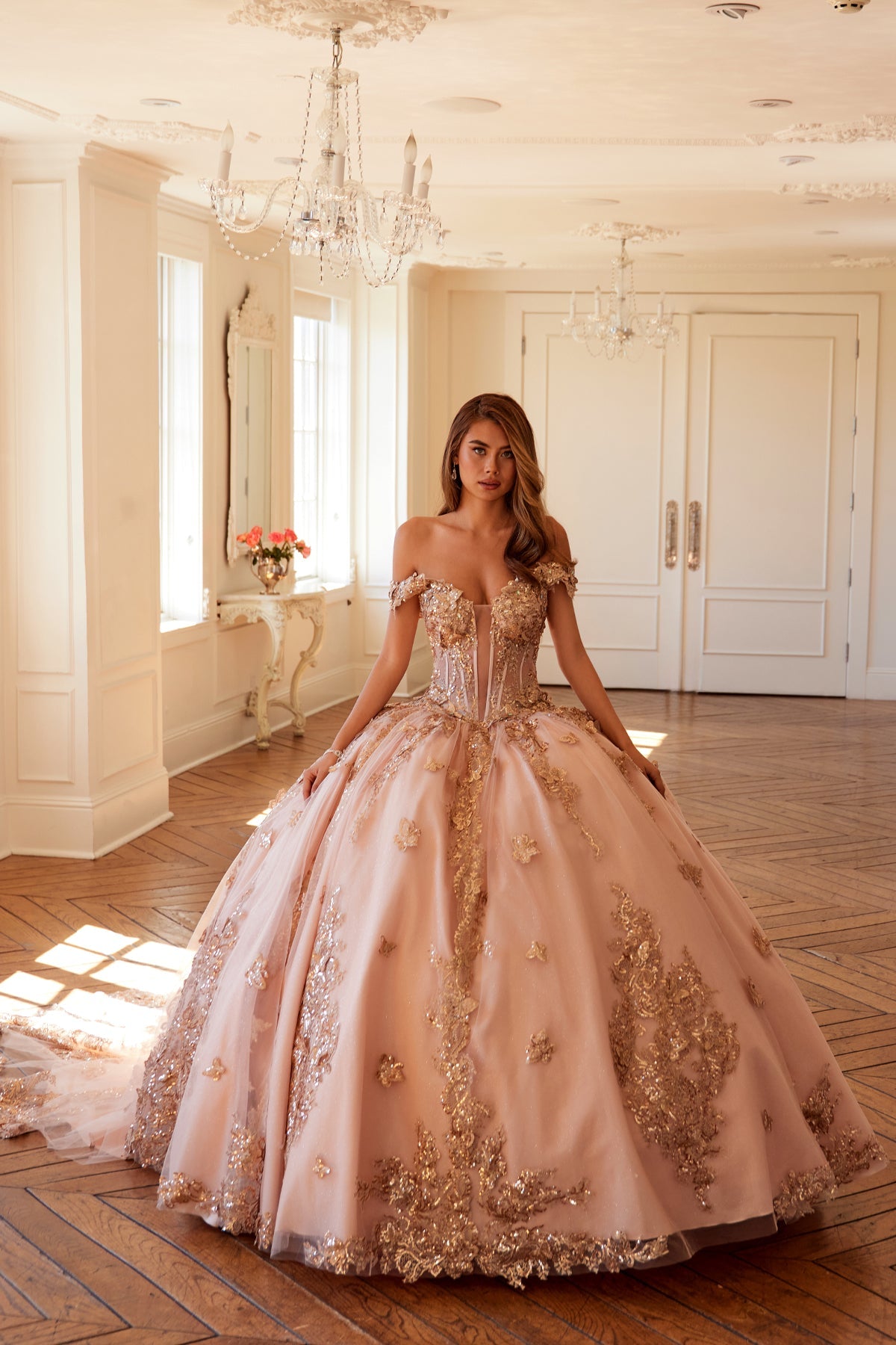 Embellished Lace Applique Tulle Ball Gown Quinceañera Princess JTJT1485J