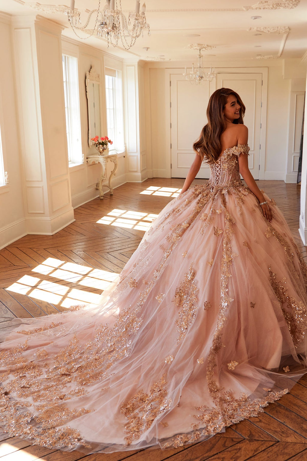 Embellished Lace Applique Tulle Ball Gown Quinceañera Princess JTJT1485J
