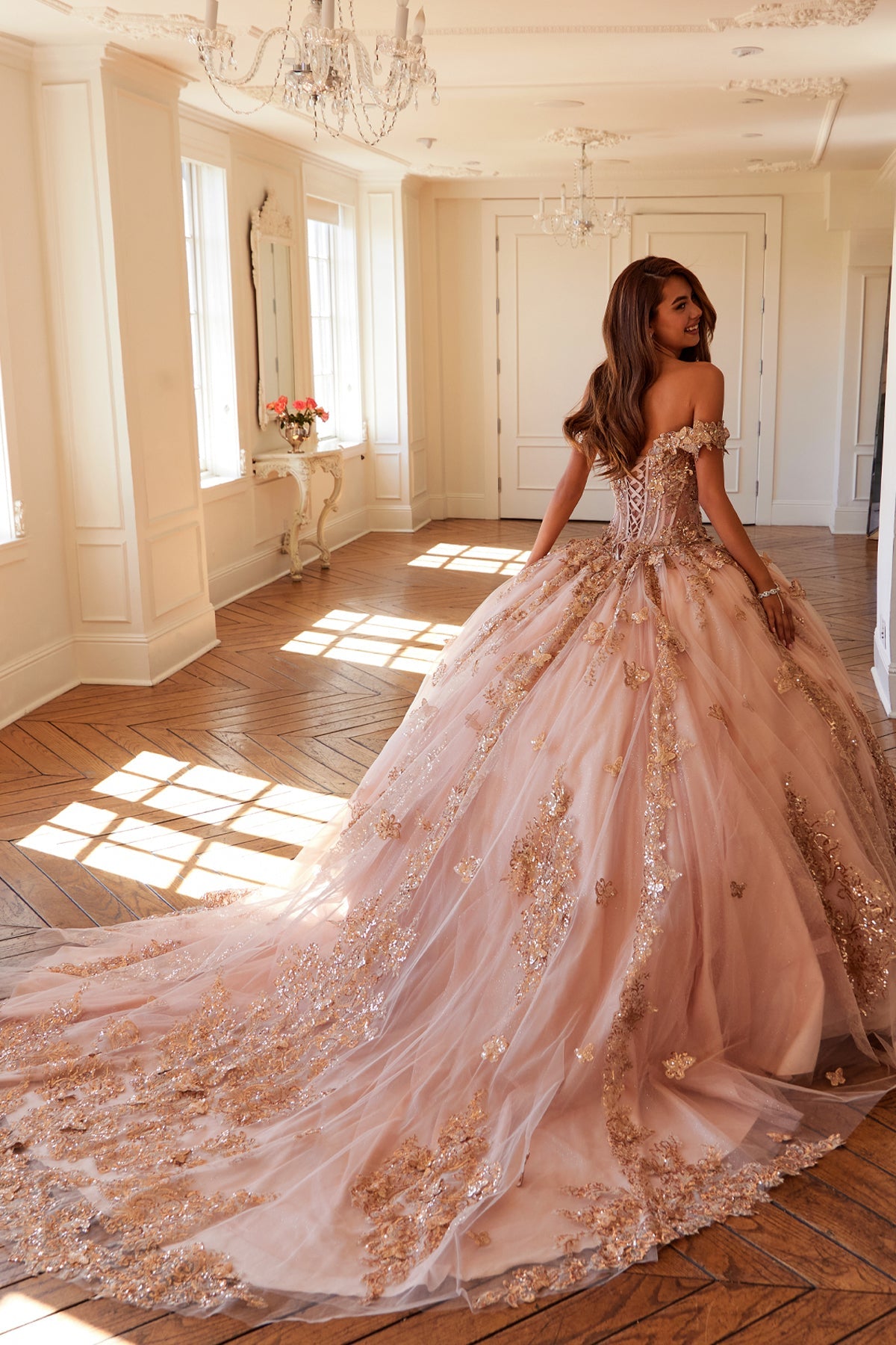 Embellished Lace Applique Tulle Ball Gown Quinceañera Princess JTJT1485J