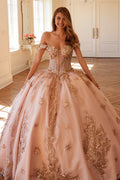 Embellished Lace Applique Tulle Ball Gown Quinceañera Princess JTJT1485J