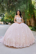 Embellished Lace Applique Tulle Ball Gown Quinceañera Princess JTJT1460J