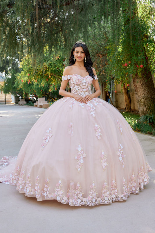 Embellished Lace Applique Tulle Ball Gown Quinceañera Princess JTJT1460J