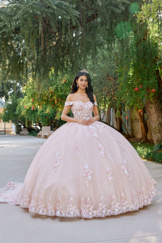 Embellished Lace Applique Tulle Ball Gown Quinceañera Princess JTJT1460J
