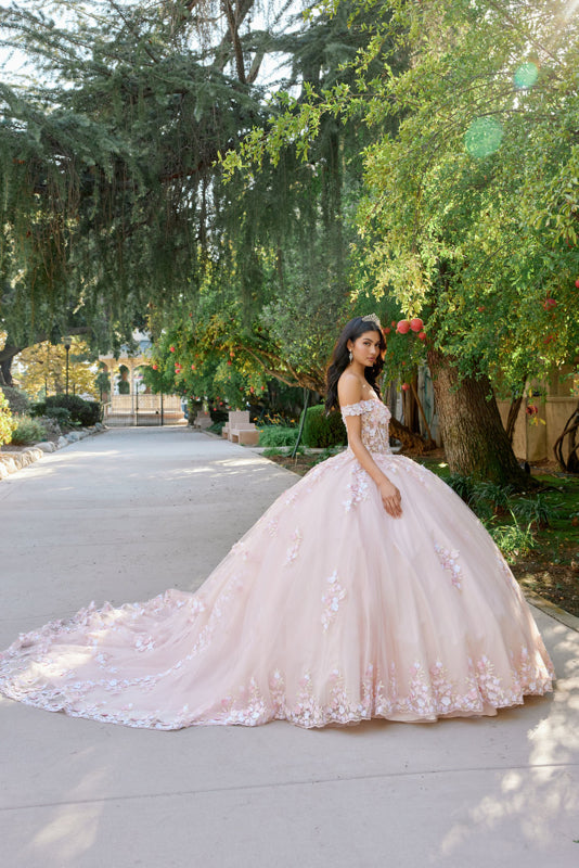 Embellished Lace Applique Tulle Ball Gown Quinceañera Princess JTJT1460J