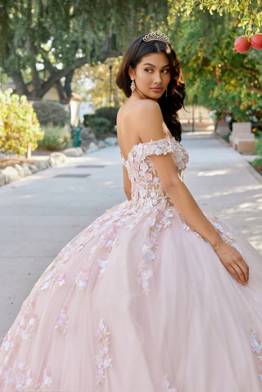 Embellished Lace Applique Tulle Ball Gown Quinceañera Princess JTJT1460J