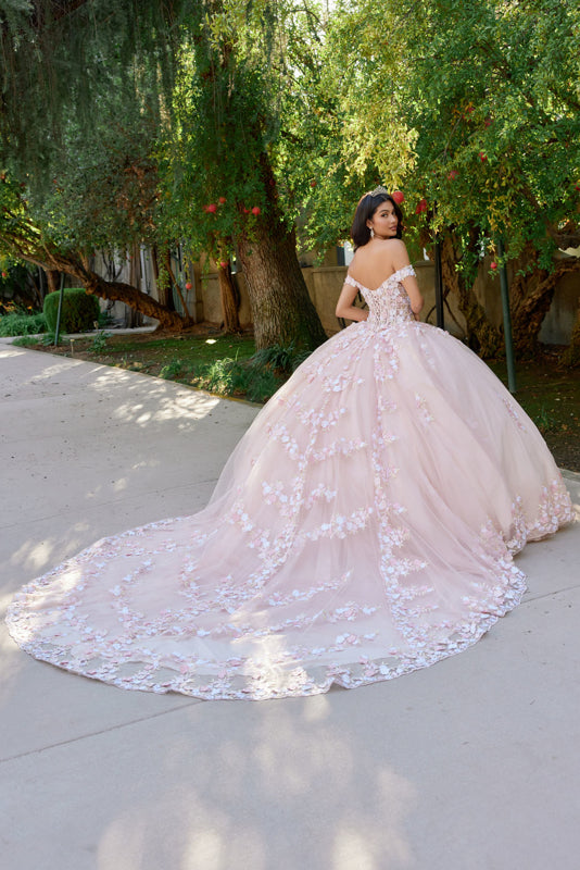 Embellished Lace Applique Tulle Ball Gown Quinceañera Princess JTJT1460J