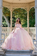 Strapless Ball Gown with Floral Lace Appliqué Quinceañera JTJT1503J