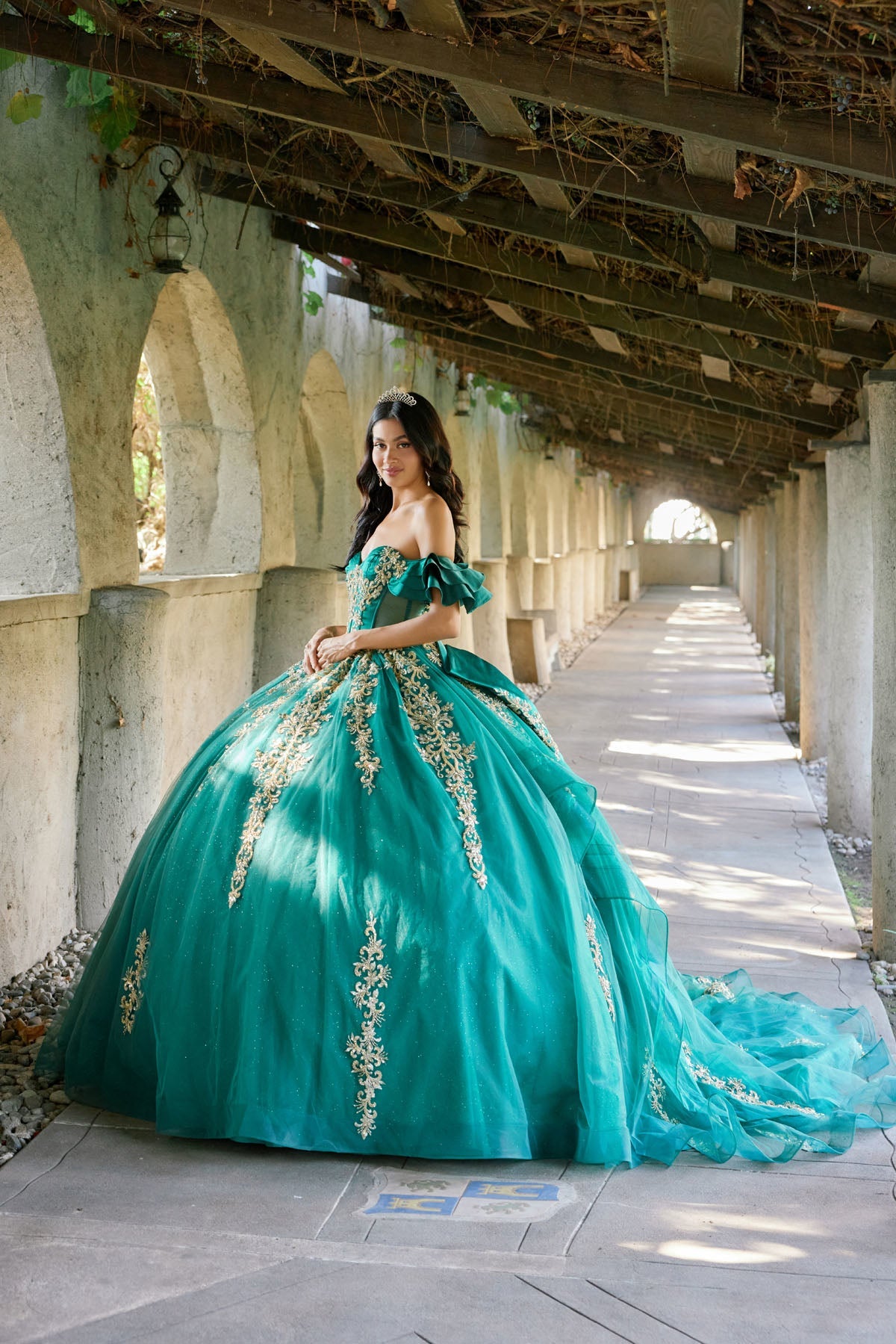 Regal Ball Gown with Gold Lace Accents Quinceañera with JTJT1504J