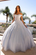 Embellished Lace Applique Tulle Ball Gown Quinceañera Princess NXH1352