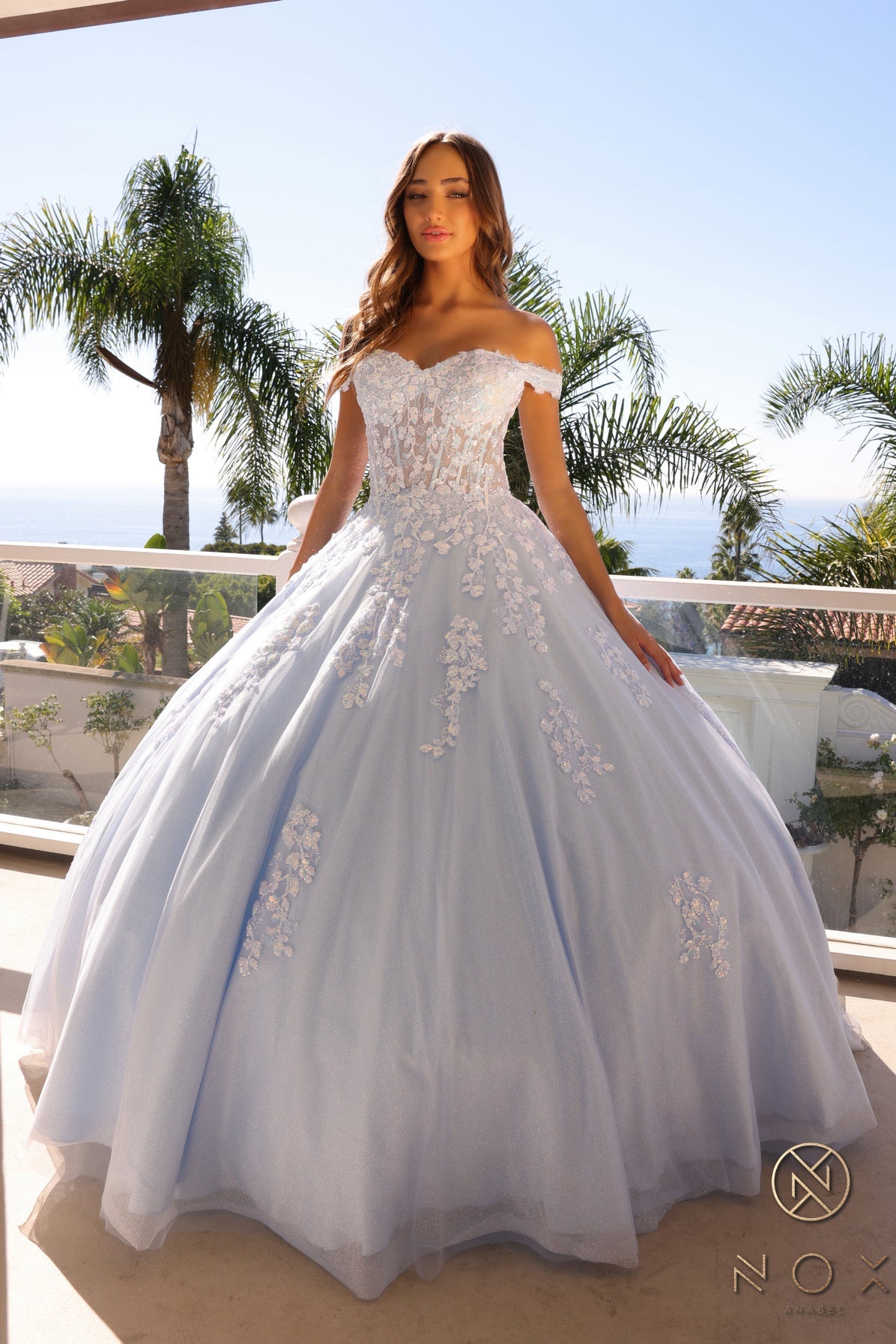 Embellished Lace Applique Tulle Ball Gown Quinceañera Princess NXH1352
