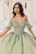 OFF THE SHOULDER FLUTTER SLEEVE BALL GOWN CD15725