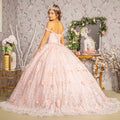 3 d butterfly applique jewel sequin quinceanera ball gown GLGL3183
