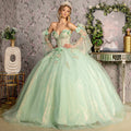 3 D Flower Jewel Sheer Bodice Mesh Ball Gown w Long Sleeves GLGL3486