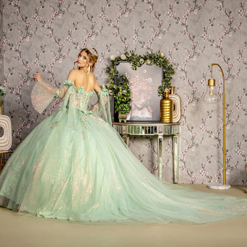 3 D Flower Jewel Sheer Bodice Mesh Ball Gown w Long Sleeves GLGL3486
