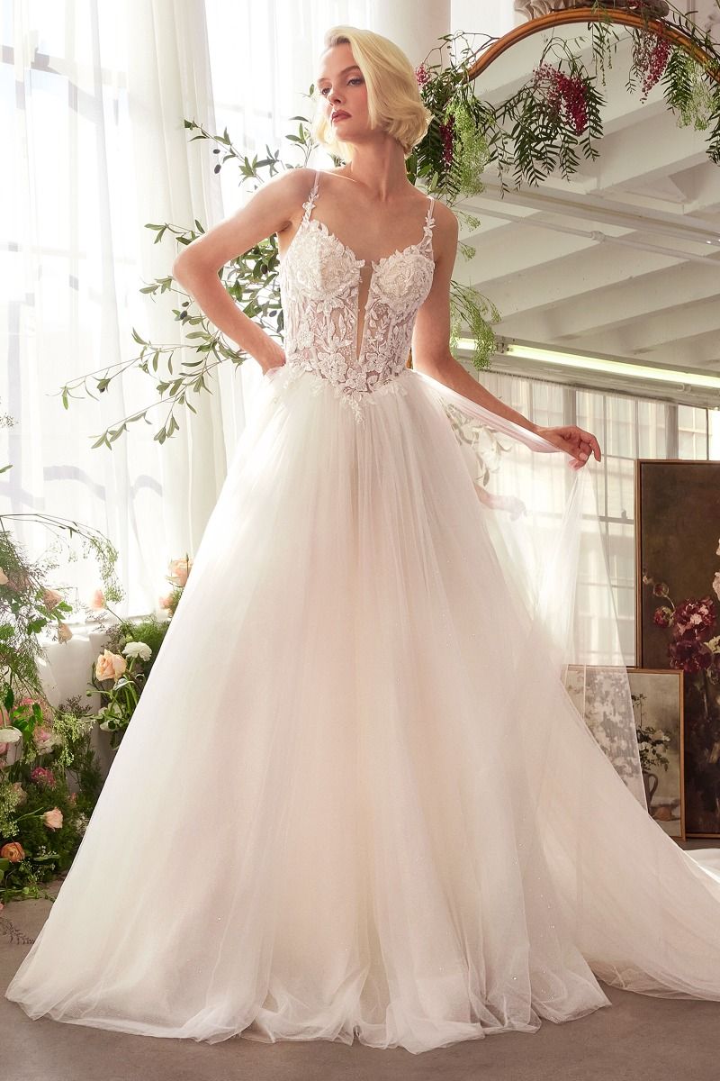 Floral Lace V-Neck Bridal Ball Gown with Tulle Skirt-0