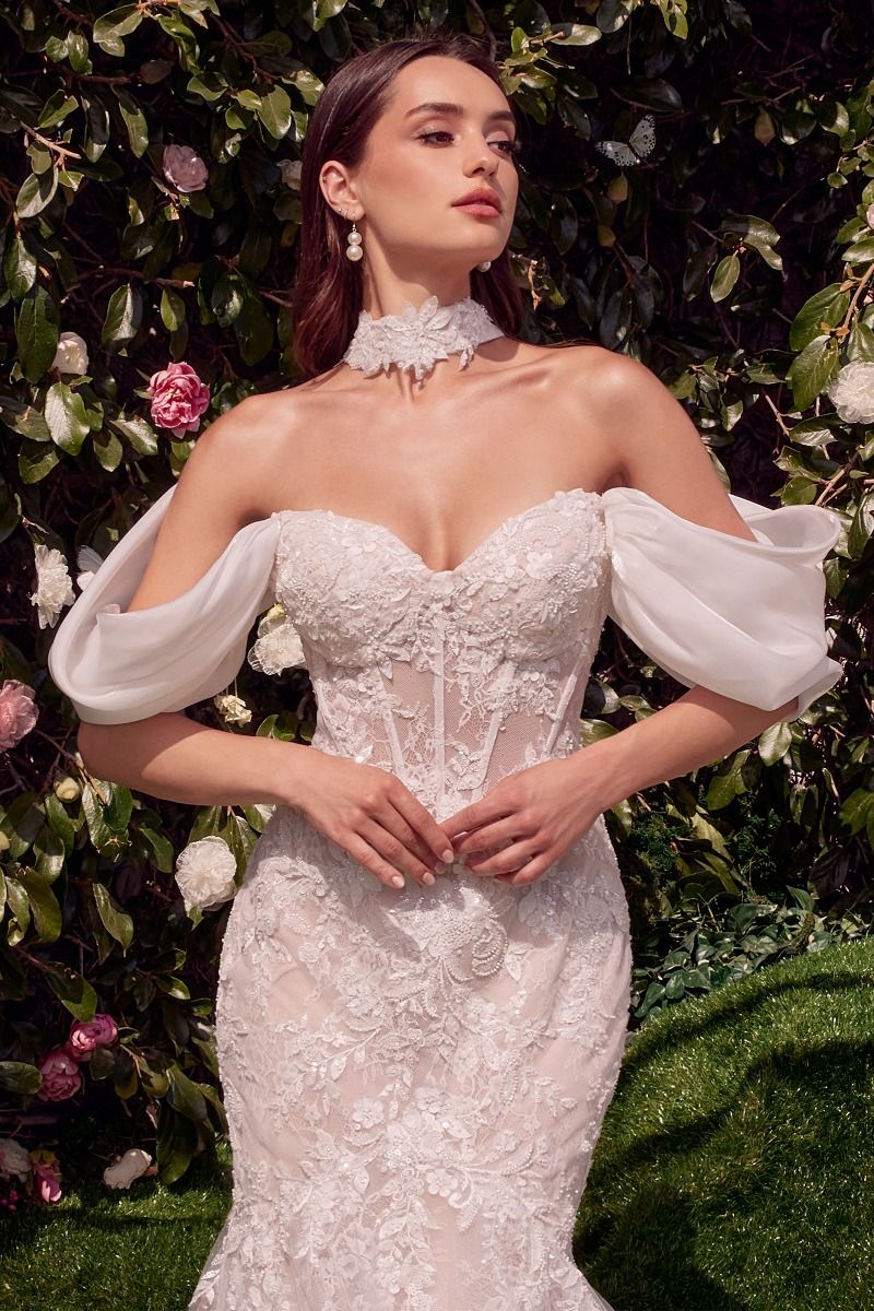 Detachable Wings Mermaid Wedding Gown-2