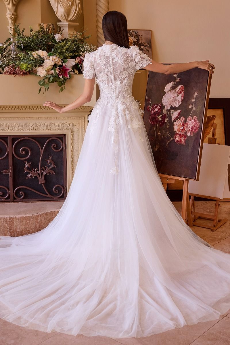 Two Looks In One Wedding Gown-4