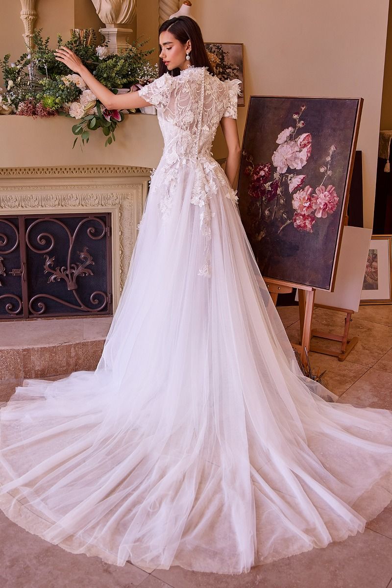 Two Looks In One Wedding Gown-1