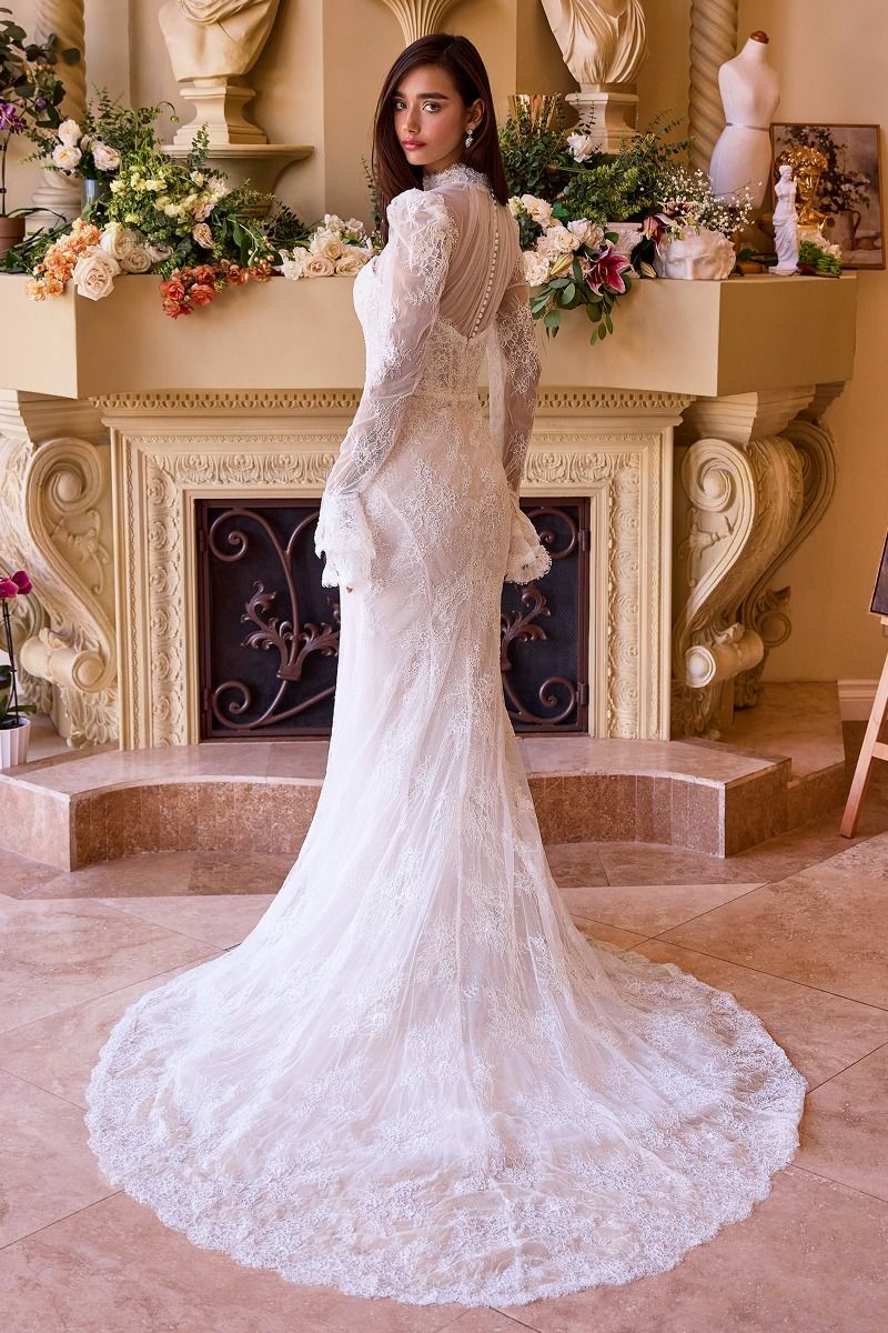 Versitile Fitted Lace Bridal Gown-3