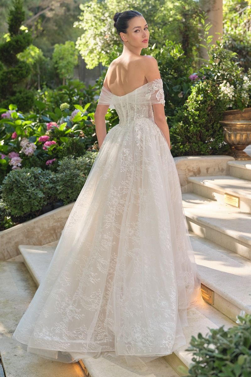 Wedding Ball Gown Illusion Bodice Adorned With Cascading Floral Appliqué-1