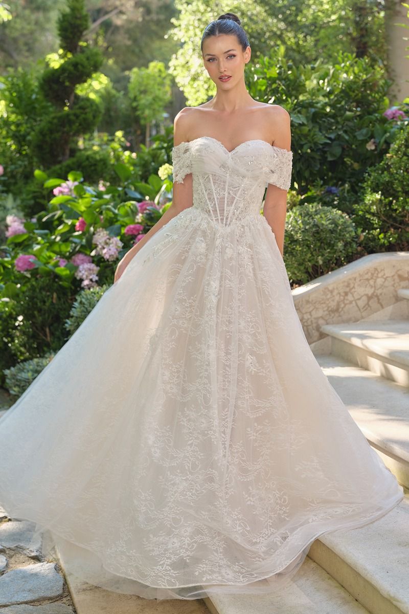 Wedding Ball Gown Illusion Bodice Adorned With Cascading Floral Appliqué-0